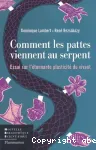 vignette