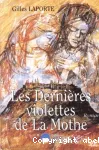 vignette