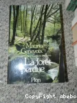 vignette